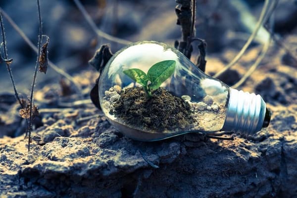 How to increase your sustainable growth rate